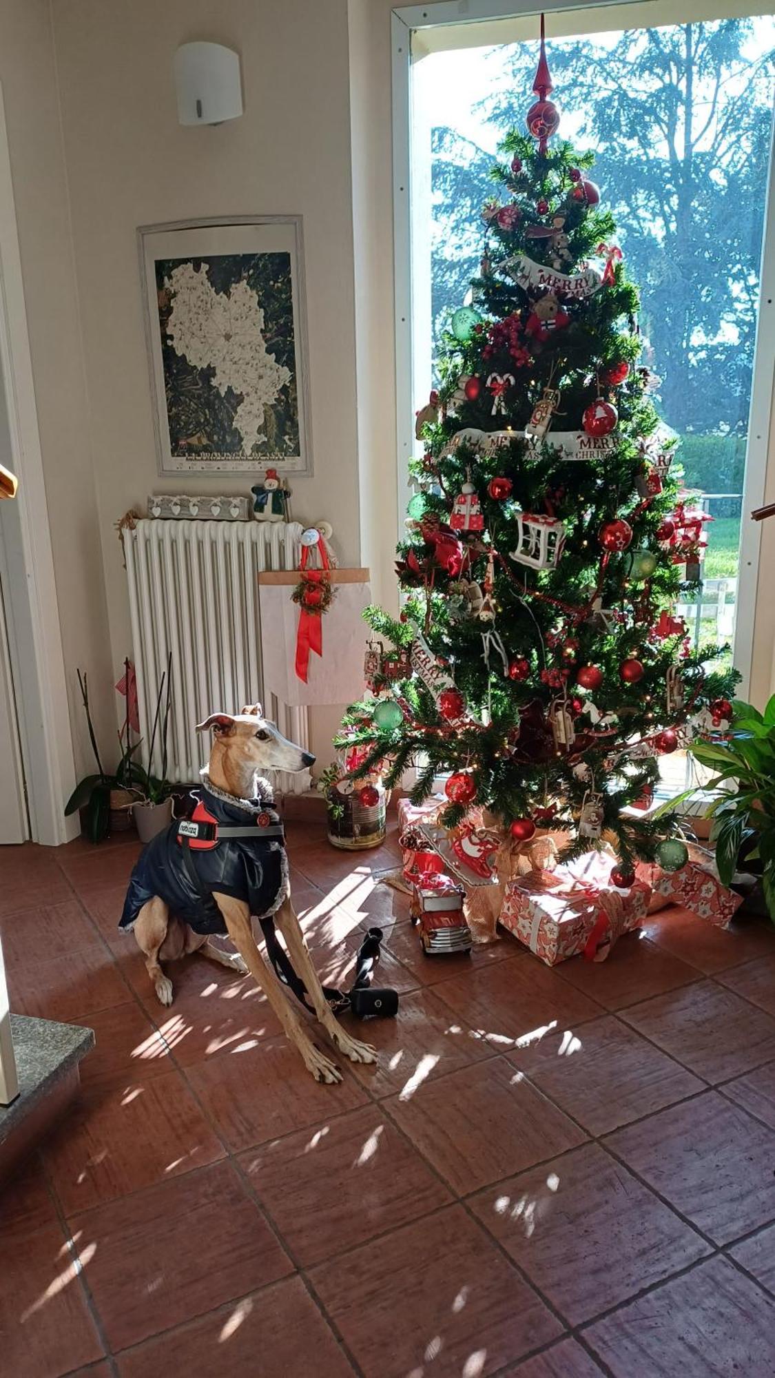 Tenuta Degli Angeli Rossi Άστι Εξωτερικό φωτογραφία